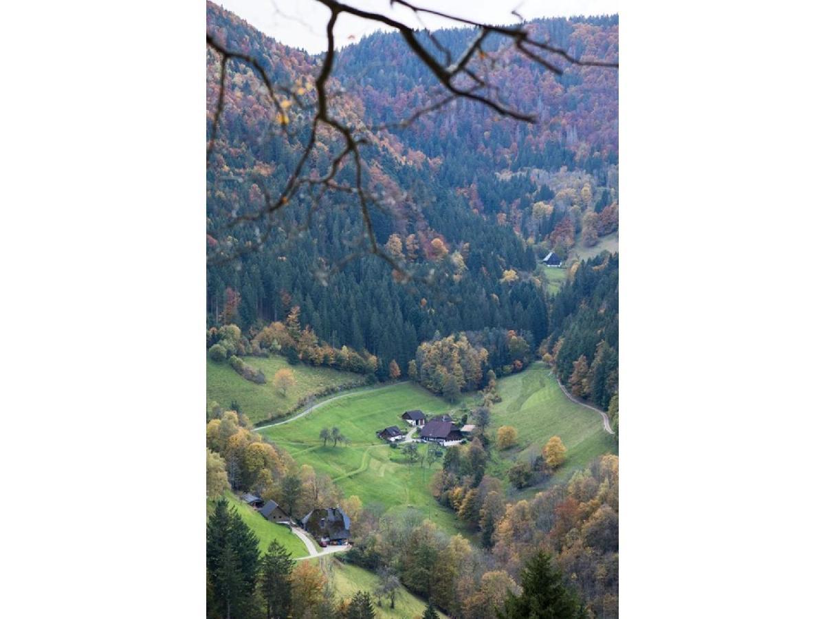 Berghotel Und Restaurant Kraeuter Chalet Фуртванген Экстерьер фото